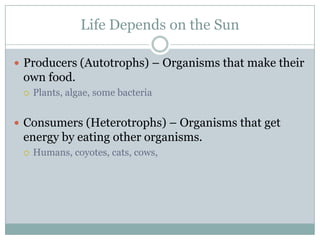 Life Depends on the SunProducers (Autotrophs) – Organisms that make their own food.Plants, algae, some bacteriaConsumers (Heterotrophs) – Organisms that get energy by eating other organisms.Humans, coyotes, cats, cows, 