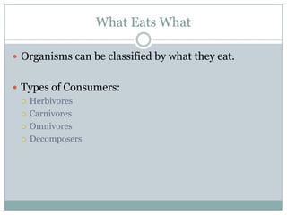 What Eats WhatOrganisms can be classified by what they eat.Types of Consumers:HerbivoresCarnivoresOmnivoresDecomposers