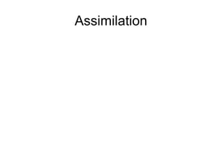 Assimilation 