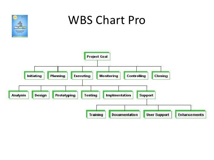 download wbs chart pro project 2013