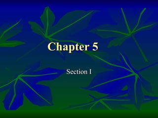 Chapter 5 Section I 