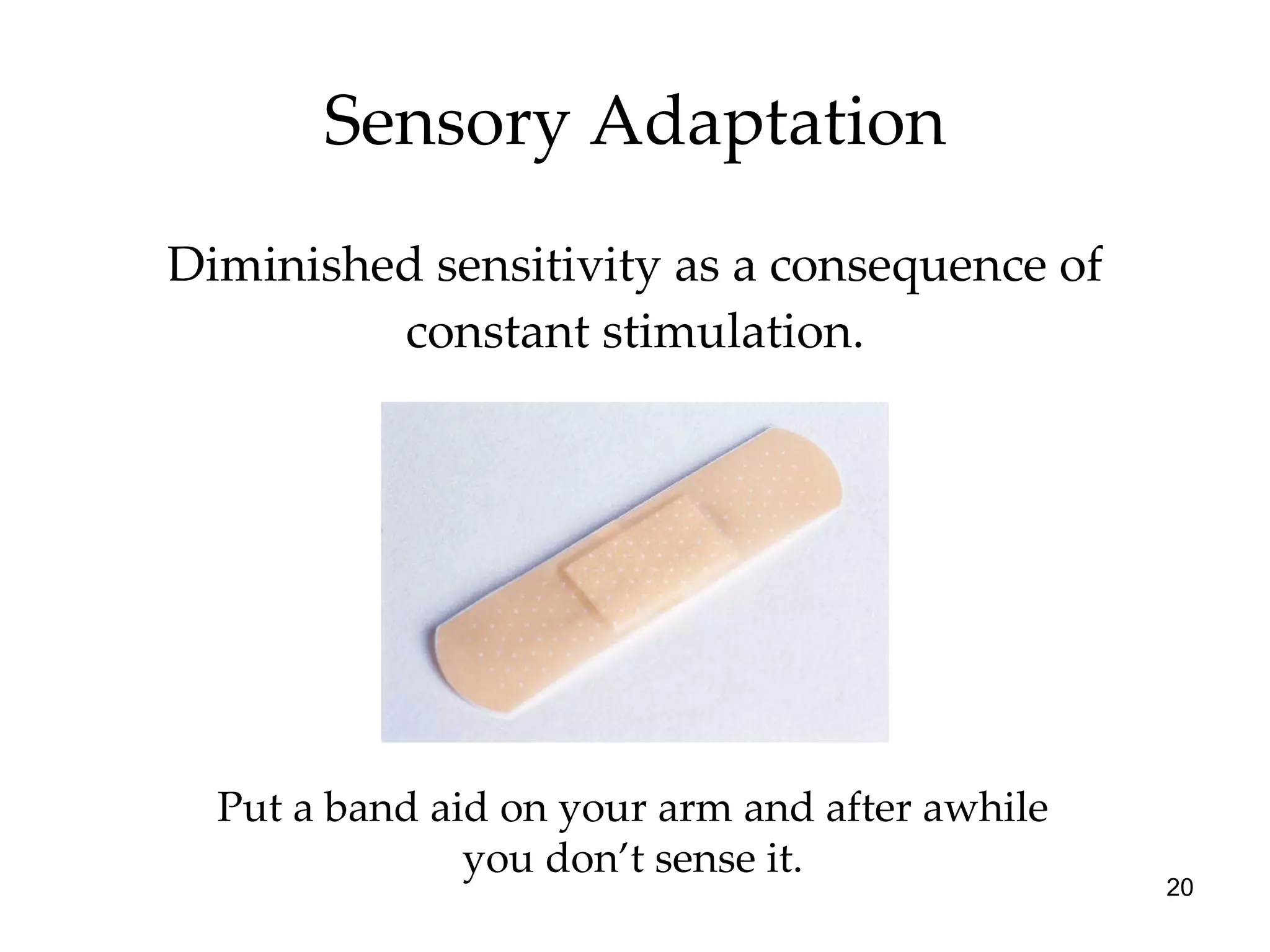 Sensory Adaptation Diminished sensitivity as a consequence of constant stimulation. Put a band aid on your arm and after awhile you don’t sense it. 
