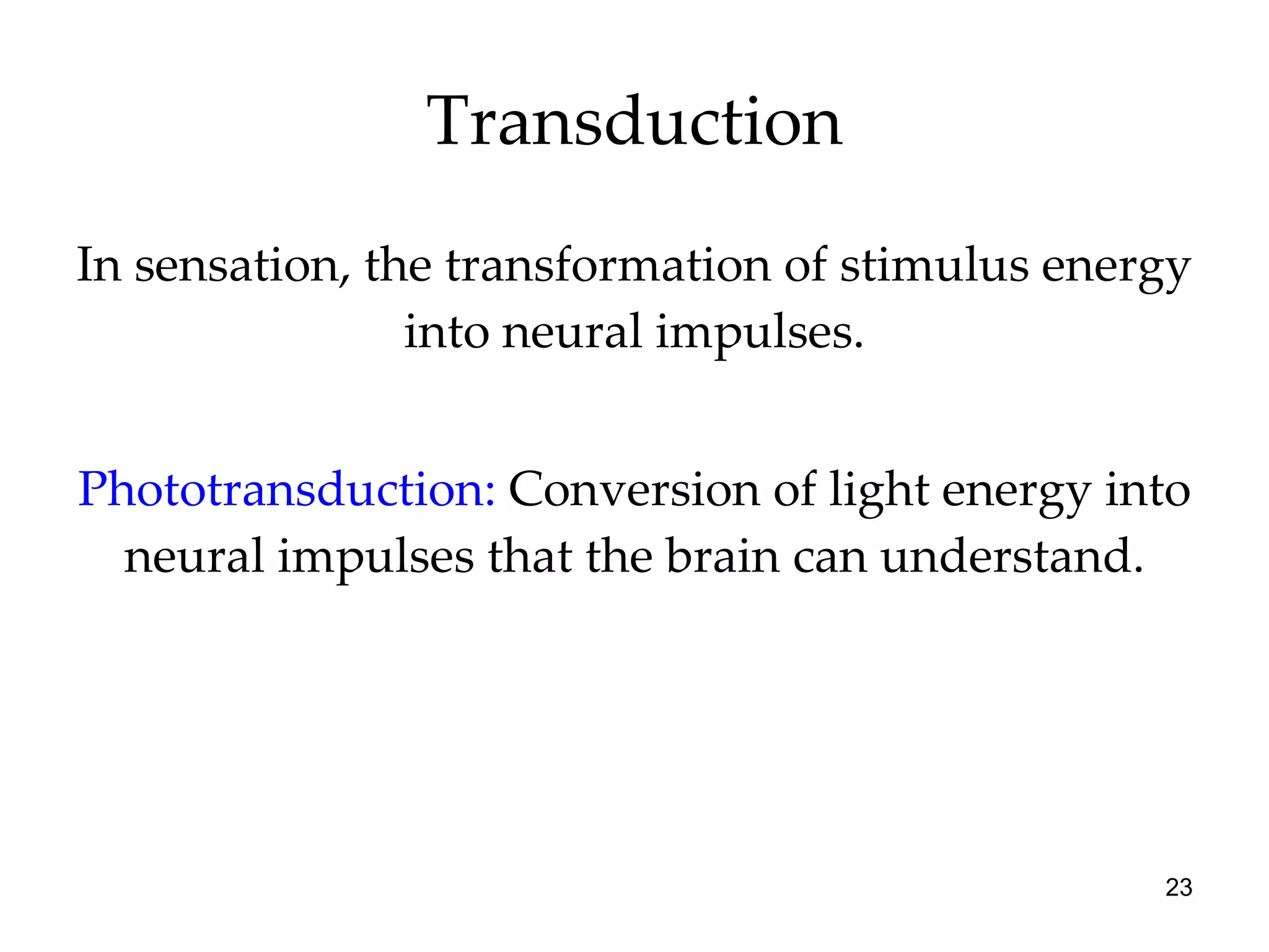 Transduction In sensation, the transformation of stimulus energy into neural impulses. Phototransduction:  Conversion of light energy into neural impulses that the brain can understand. 