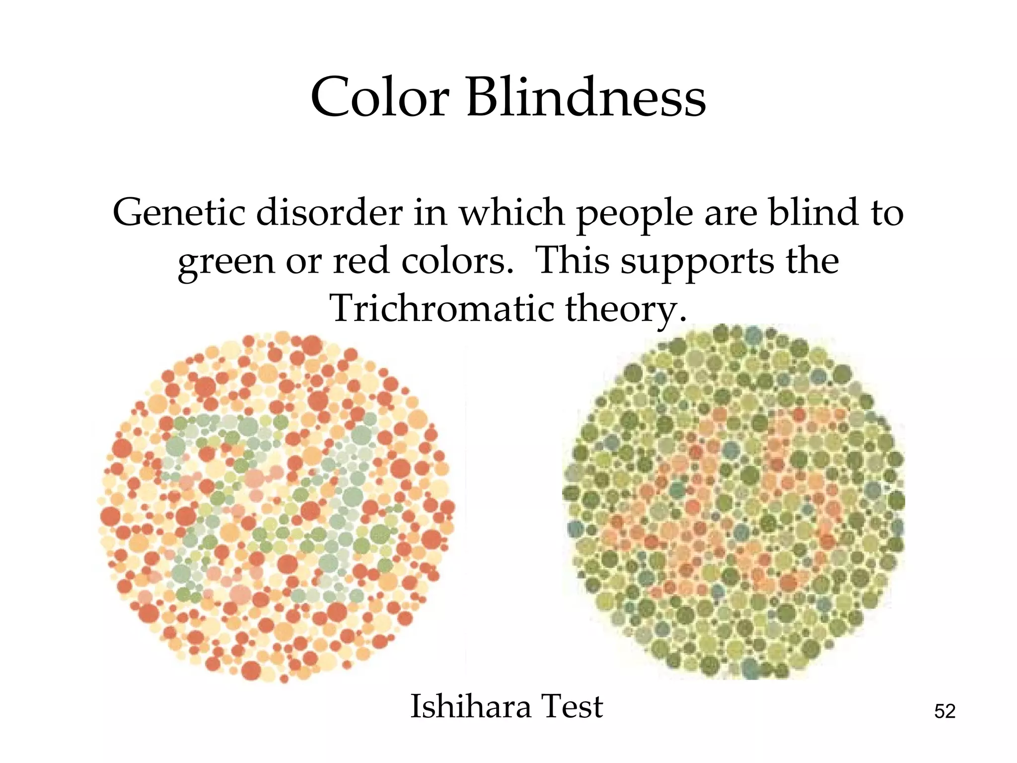 Color Blindness Genetic disorder in which people are blind to green or red colors.  This supports the Trichromatic theory. Ishihara Test 