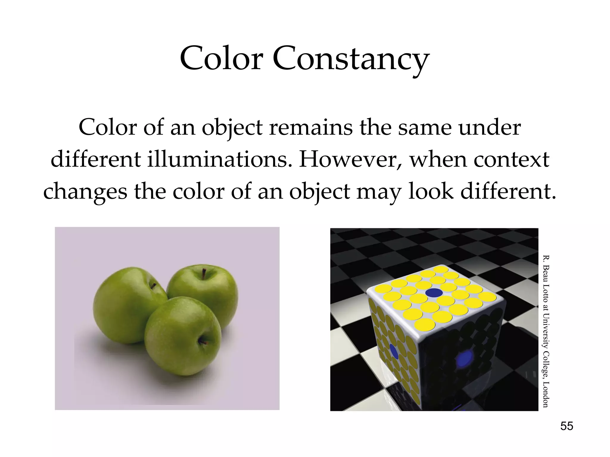 Color Constancy Color of an object remains the same under different illuminations. However, when context changes the color of an object may look different. R. Beau Lotto at University College, London 