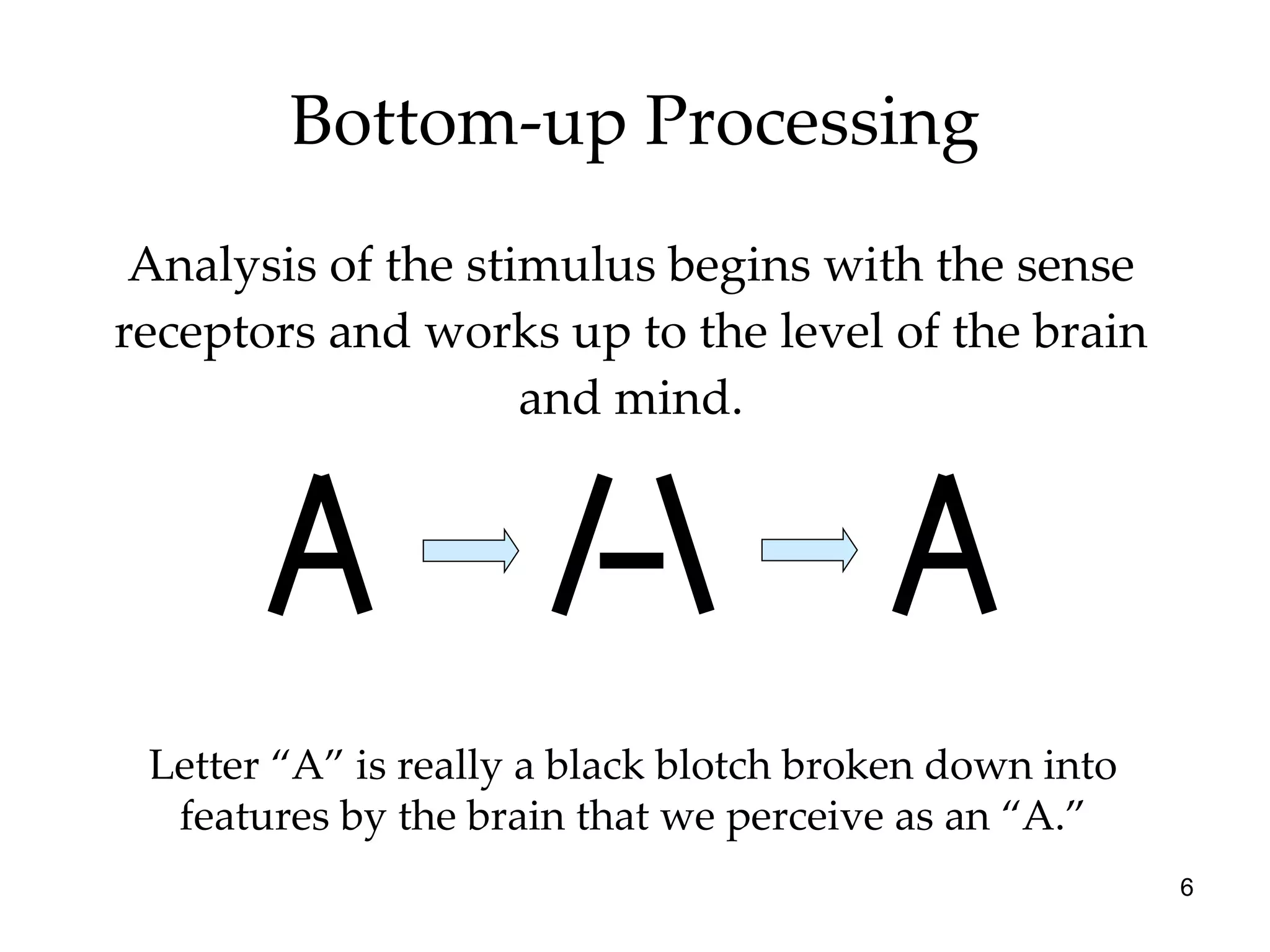 Bottom-up Processing Analysis of the stimulus begins with the sense receptors and works up to the level of the brain and mind. Letter “A” is really a black blotch broken down into features by the brain that we perceive as an “A.” 