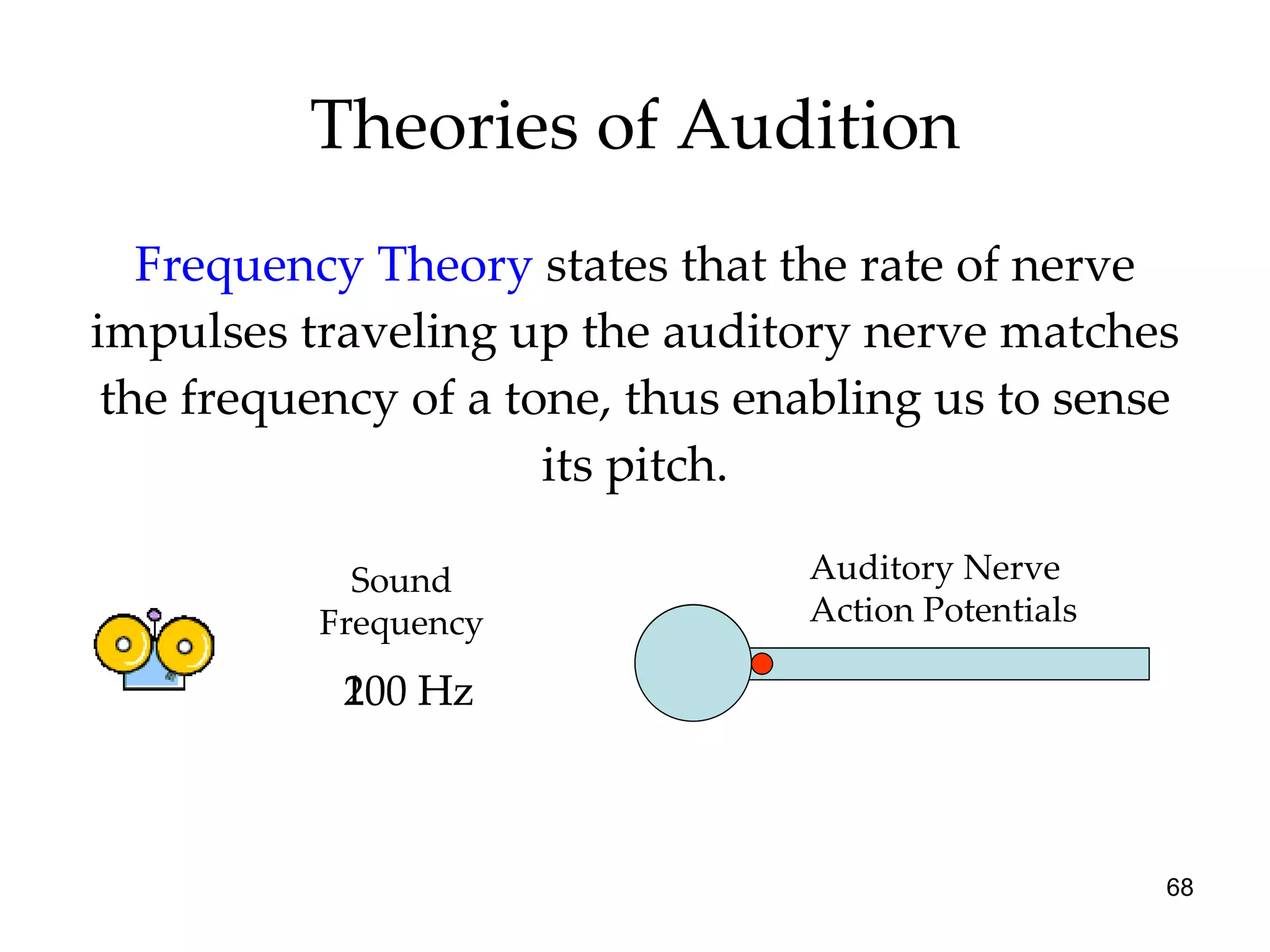 Theories of Audition Frequency Theory   states that the rate of nerve impulses traveling up the auditory nerve matches the frequency of a tone, thus enabling us to sense its pitch. Sound Frequency Auditory Nerve Action Potentials 100 Hz 200 Hz 