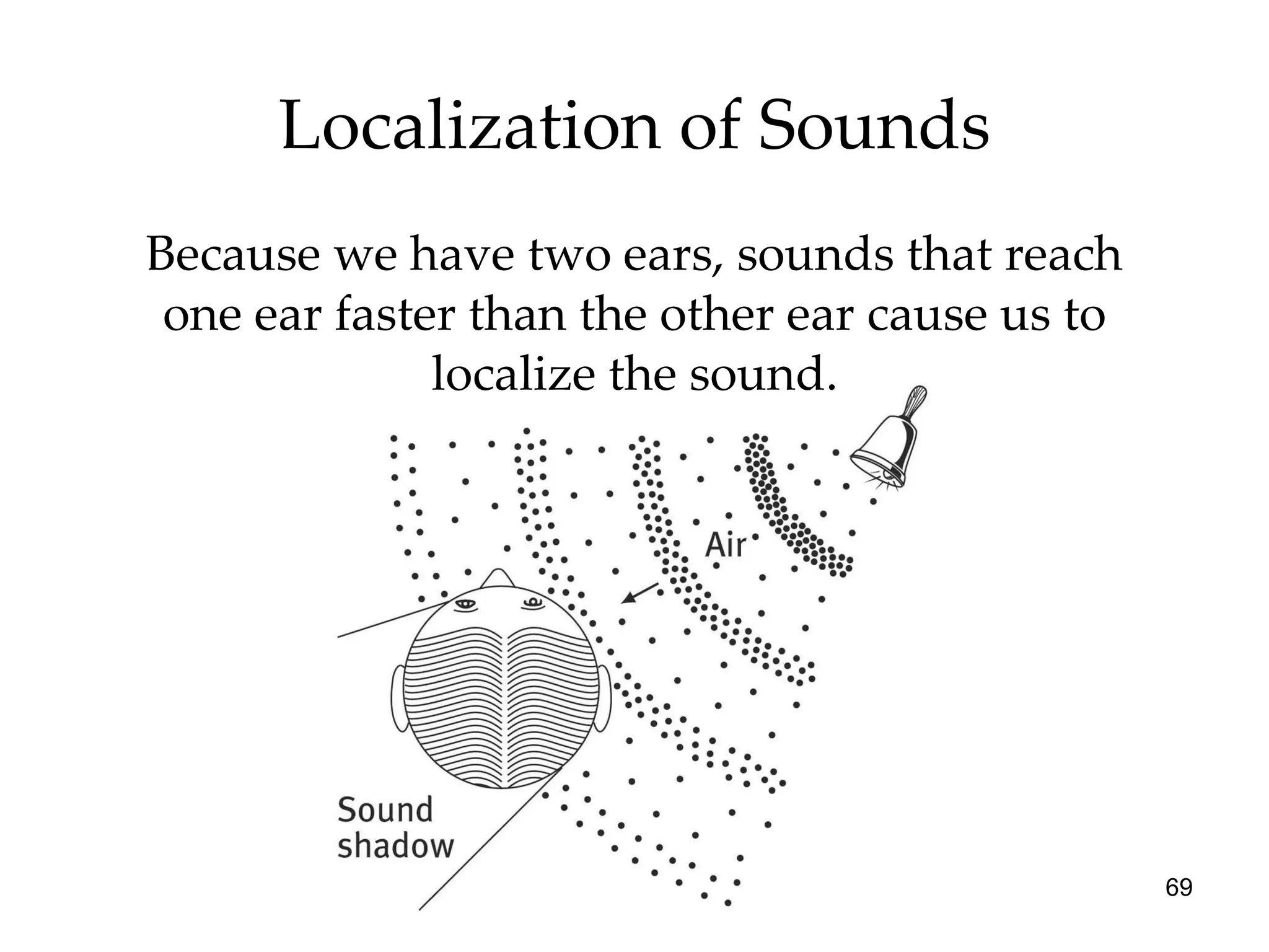 Localization of Sounds Because we have two ears, sounds that reach one ear faster than the other ear cause us to localize the sound. 