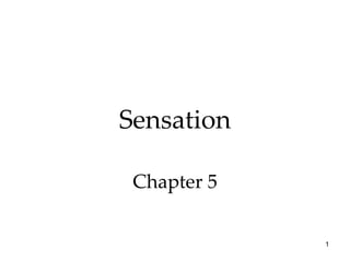 Sensation Chapter 5 