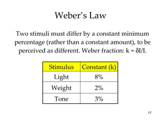 Weber’s Law <ul><li>Two stimuli must differ by a constant minimum percentage (rather than a constant amount), to be percei...