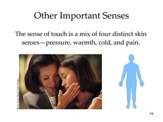 Other Important Senses <ul><li>The sense of touch is a mix of four distinct skin senses—pressure, warmth, cold, and pain. ...