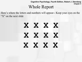 X X X X X X X X X X X X   Whole Report Here’s where the letters and numbers will appear-- Keep your eyes on the “X” on the next slide 