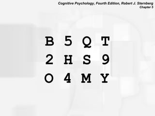 B 5 Q T 2 H S 9 O 4 M Y   