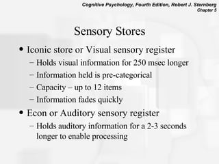Sensory Stores Iconic store or Visual sensory register Holds visual information for 250 msec longer Information held is pre-categorical Capacity – up to 12 items Information fades quickly Econ or Auditory sensory register  Holds auditory information for a 2-3 seconds longer to enable processing 