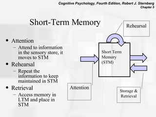 Short-Term Memory Attention Attend to information in the sensory store, it moves to STM Rehearsal Repeat the information to keep maintained in STM Retrieval Access memory in LTM and place in STM Short Term  Memory (STM) Attention Storage & Retrieval Rehearsal 