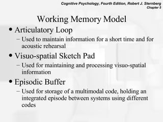 Working Memory Model Articulatory Loop Used to maintain information for a short time and for acoustic rehearsal Visuo-spatial Sketch Pad Used for maintaining and processing visuo-spatial information Episodic Buffer  Used for storage of a multimodal code, holding an integrated episode between systems using different codes 