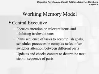 Working Memory Model Central Executive Focuses attention on relevant items and inhibiting irrelevant ones Plans sequence of tasks to accomplish goals, schedules processes in complex tasks, often switches attention between different parts  Updates and checks content to determine next step in sequence of parts  