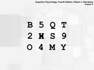 B 5 Q T 2 H S 9 O 4 M Y   X  