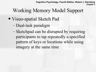 Working Memory Model Support Visuo-spatial Sketch Pad Dual-task paradigm Sketchpad can be disrupted by requiring participants to tap repeatedly a specified pattern of keys or locations while using imagery at the same time 