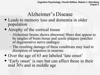 Alzheimer’s Disease Leads to memory loss and dementia in older population Atrophy of the cortical tissue  Alzheimer brains shows abnormal fibers that appear to be tangles of brain tissue and senile plaques (patches of degenerative nerve endings) The resulting damage of these conditions may lead to disruption of impulses in neurons Over the age of 65 are labeled ‘late onset’ ‘ Early onset’ is rare but can affect those in their mid 30's and in middle age 