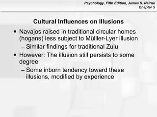 Cultural Influences on Illusions <ul><li>Navajos raised in traditional circular homes (hogans) less subject to Mülller-Lye...