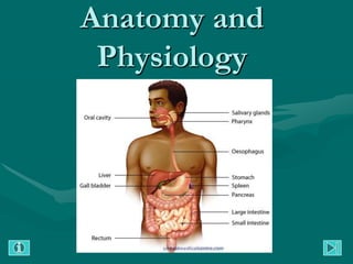 Anatomy and
 Physiology
 