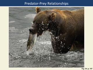 Predator-Prey Relationships




                              Fig. 5-4, p. 107
 