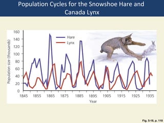 Population Cycles for the Snowshoe Hare and
                Canada Lynx




                                          Fig. 5-18, p. 118
 