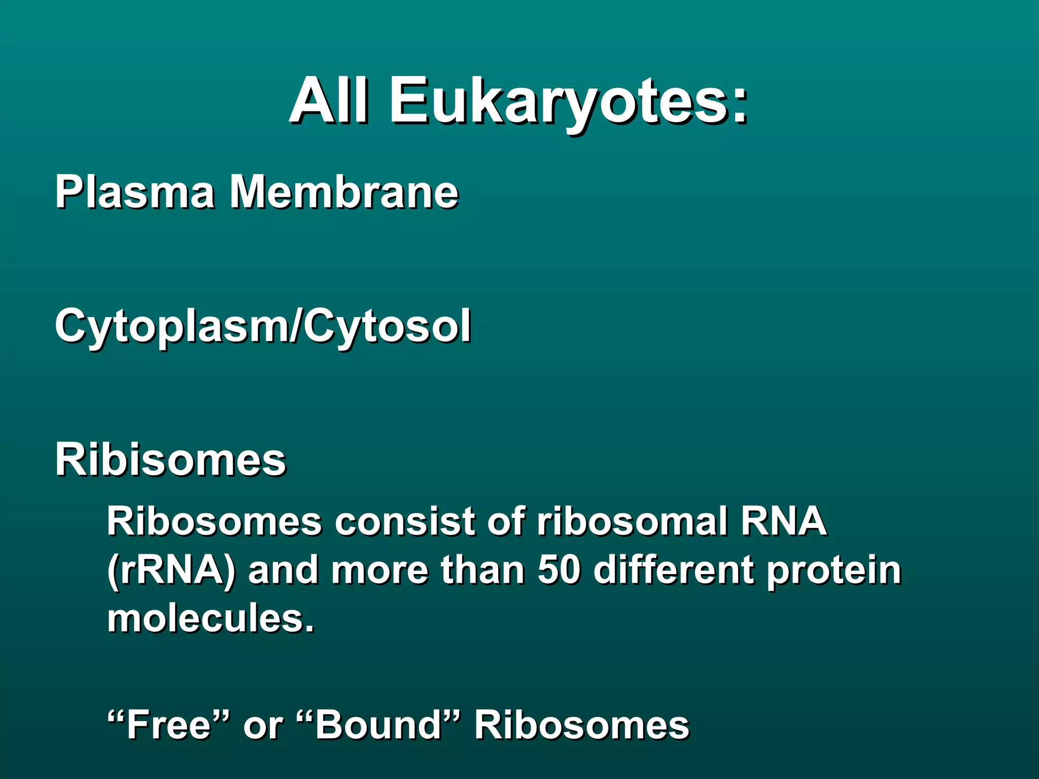 All Eukaryotes:
Plasma Membrane

Cytoplasm/Cytosol

Ribisomes
  Ribosomes consist of ribosomal RNA
  (rRNA) and more than 50 different protein
  molecules.

  “Free” or “Bound” Ribosomes
 
