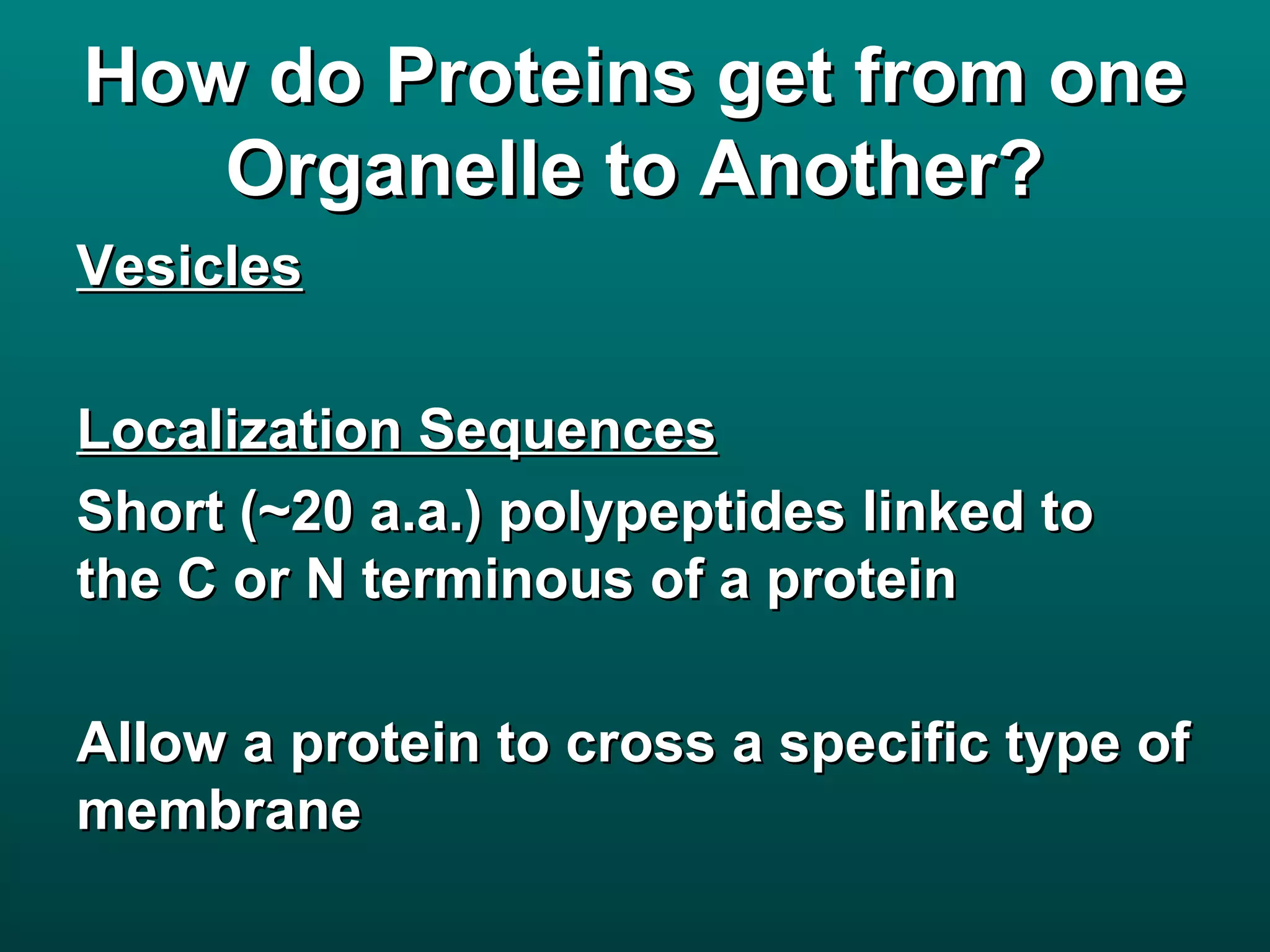 How do Proteins get from one
   Organelle to Another?
Vesicles

Localization Sequences
Short (~20 a.a.) polypeptides linked to
the C or N terminous of a protein

Allow a protein to cross a specific type of
membrane
 