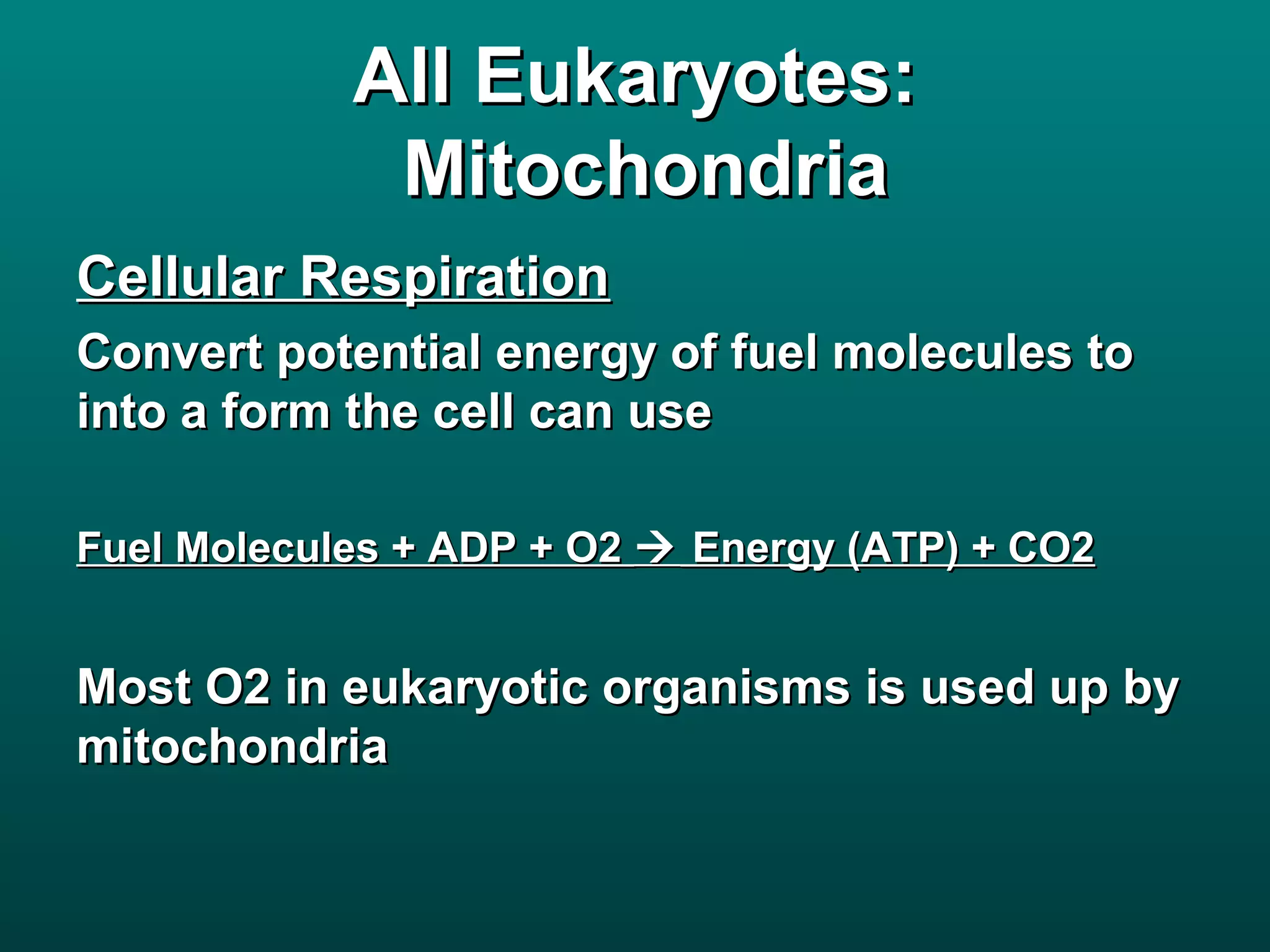 All Eukaryotes:
             Mitochondria
Cellular Respiration
Convert potential energy of fuel molecules to
into a form the cell can use

Fuel Molecules + ADP + O2  Energy (ATP) + CO2


Most O2 in eukaryotic organisms is used up by
mitochondria
 