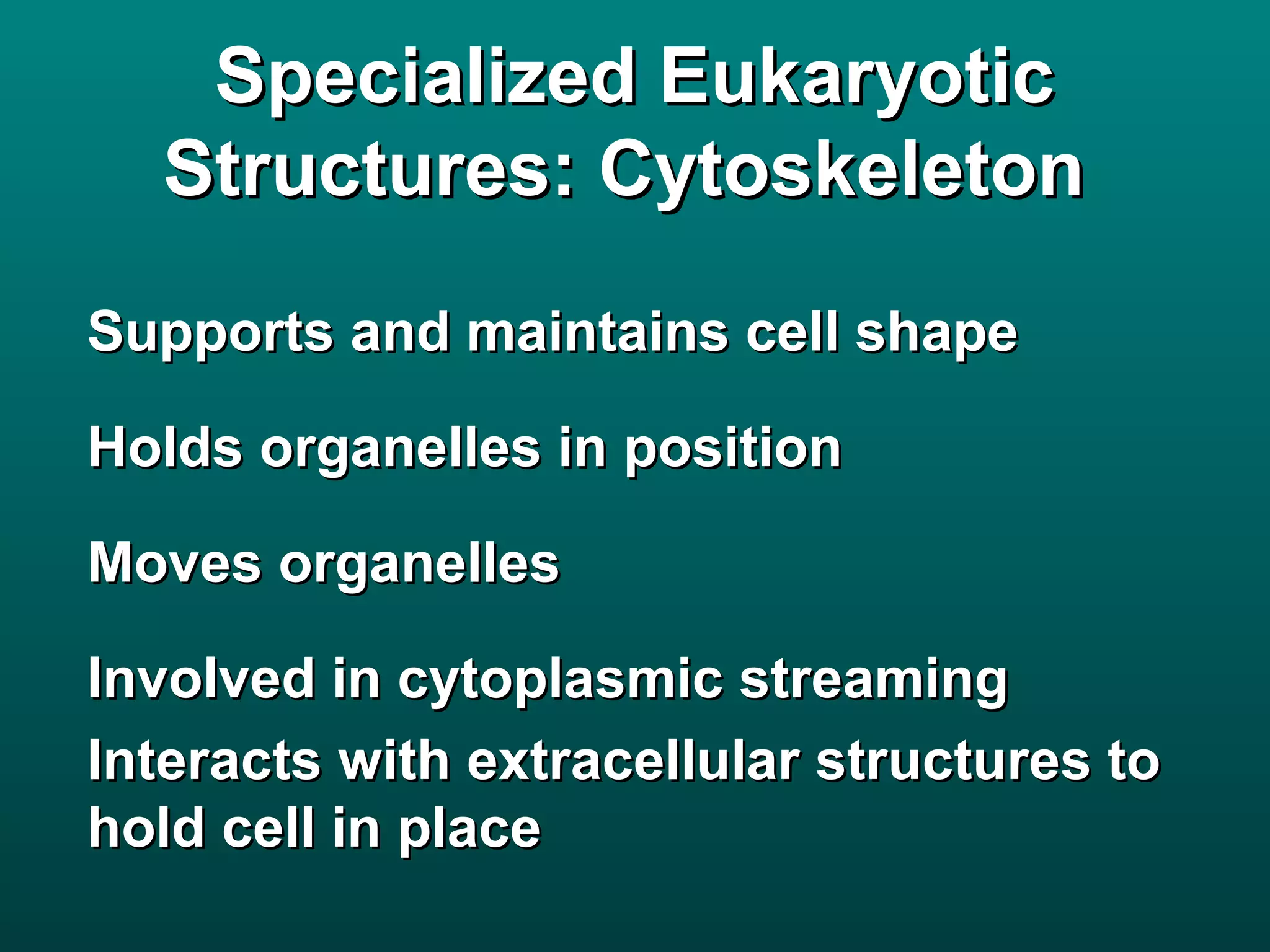 Specialized Eukaryotic
  Structures: Cytoskeleton

Supports and maintains cell shape

Holds organelles in position

Moves organelles

Involved in cytoplasmic streaming
Interacts with extracellular structures to
hold cell in place
 