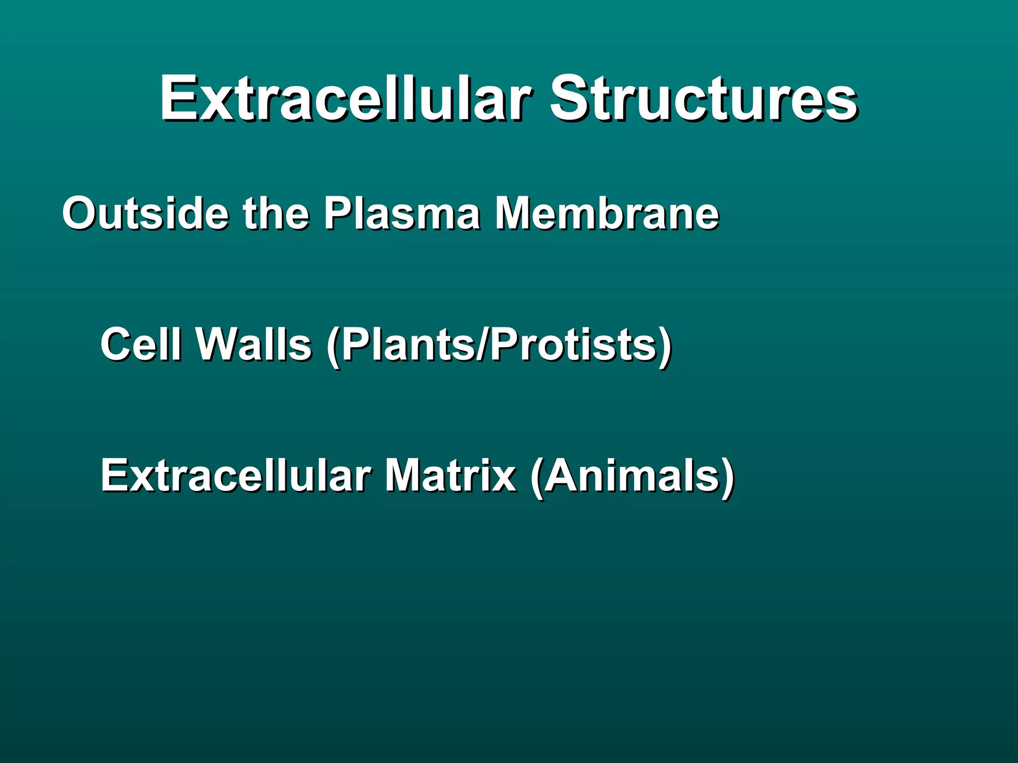 Extracellular Structures
Outside the Plasma Membrane

 Cell Walls (Plants/Protists)

 Extracellular Matrix (Animals)
 