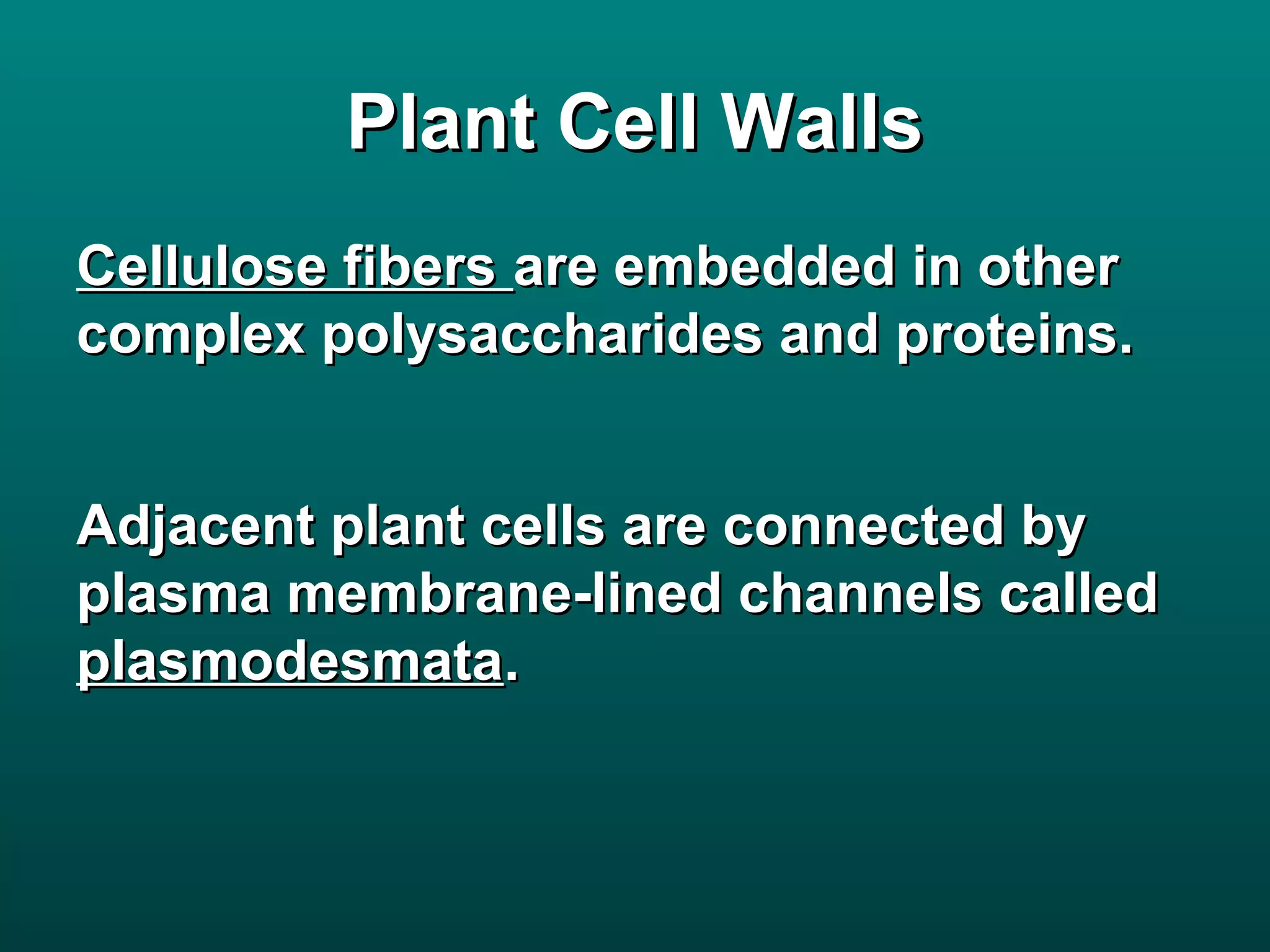 Plant Cell Walls
Cellulose fibers are embedded in other
complex polysaccharides and proteins.


Adjacent plant cells are connected by
plasma membrane-lined channels called
plasmodesmata.
 