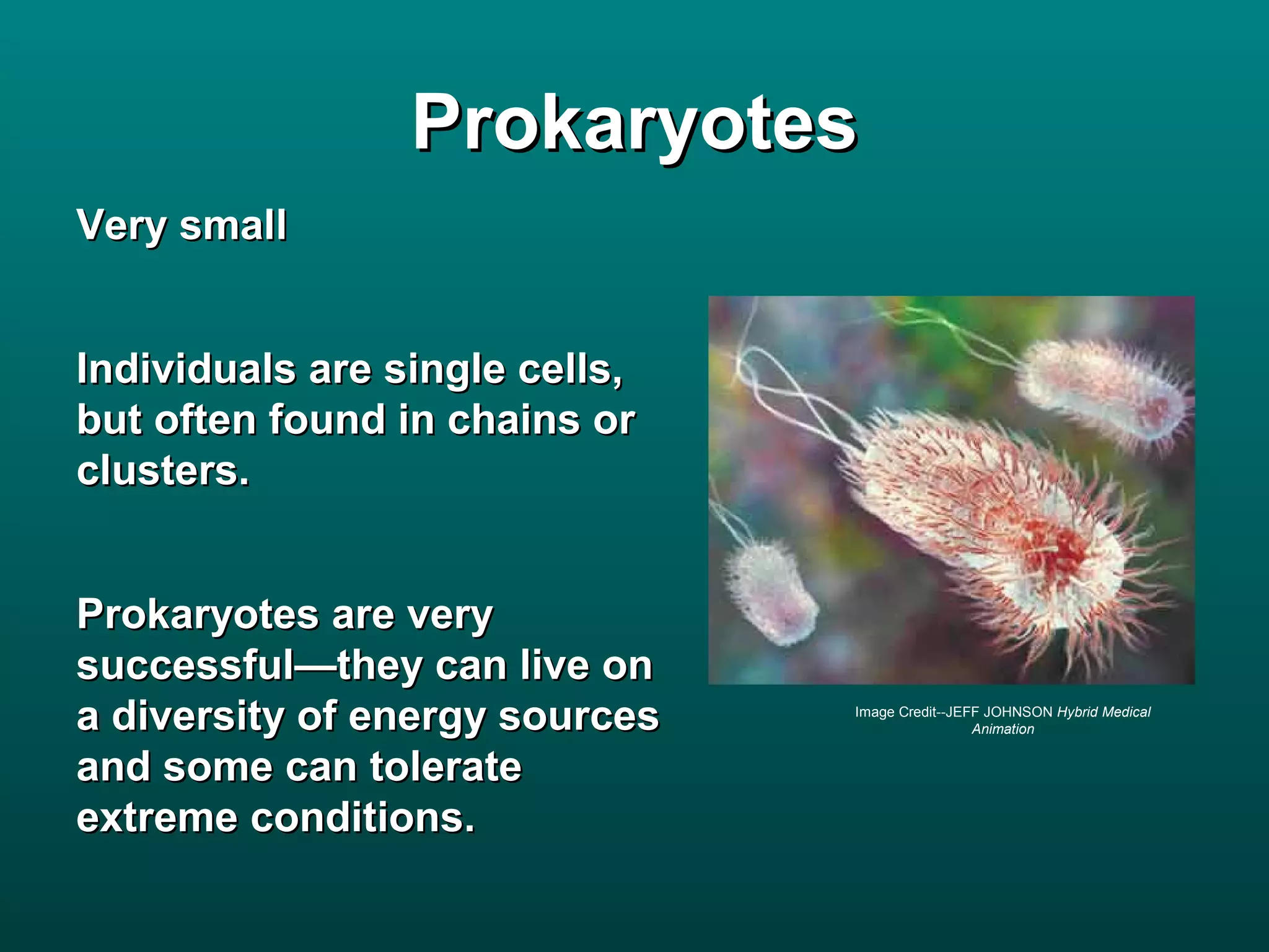 Prokaryotes
Very small


Individuals are single cells,
but often found in chains or
clusters.


Prokaryotes are very
successful—they can live on
a diversity of energy sources   Image Credit--JEFF JOHNSON Hybrid Medical
                                                 Animation


and some can tolerate
extreme conditions.
 