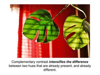 Complementary contrast intensifies the difference
between two hues that are already present, and already
                      different.
 