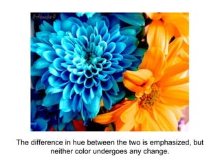 The difference in hue between the two is emphasized, but
           neither color undergoes any change.
 