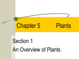 Chapter 5         Plants

Section 1
An Overview of Plants
 