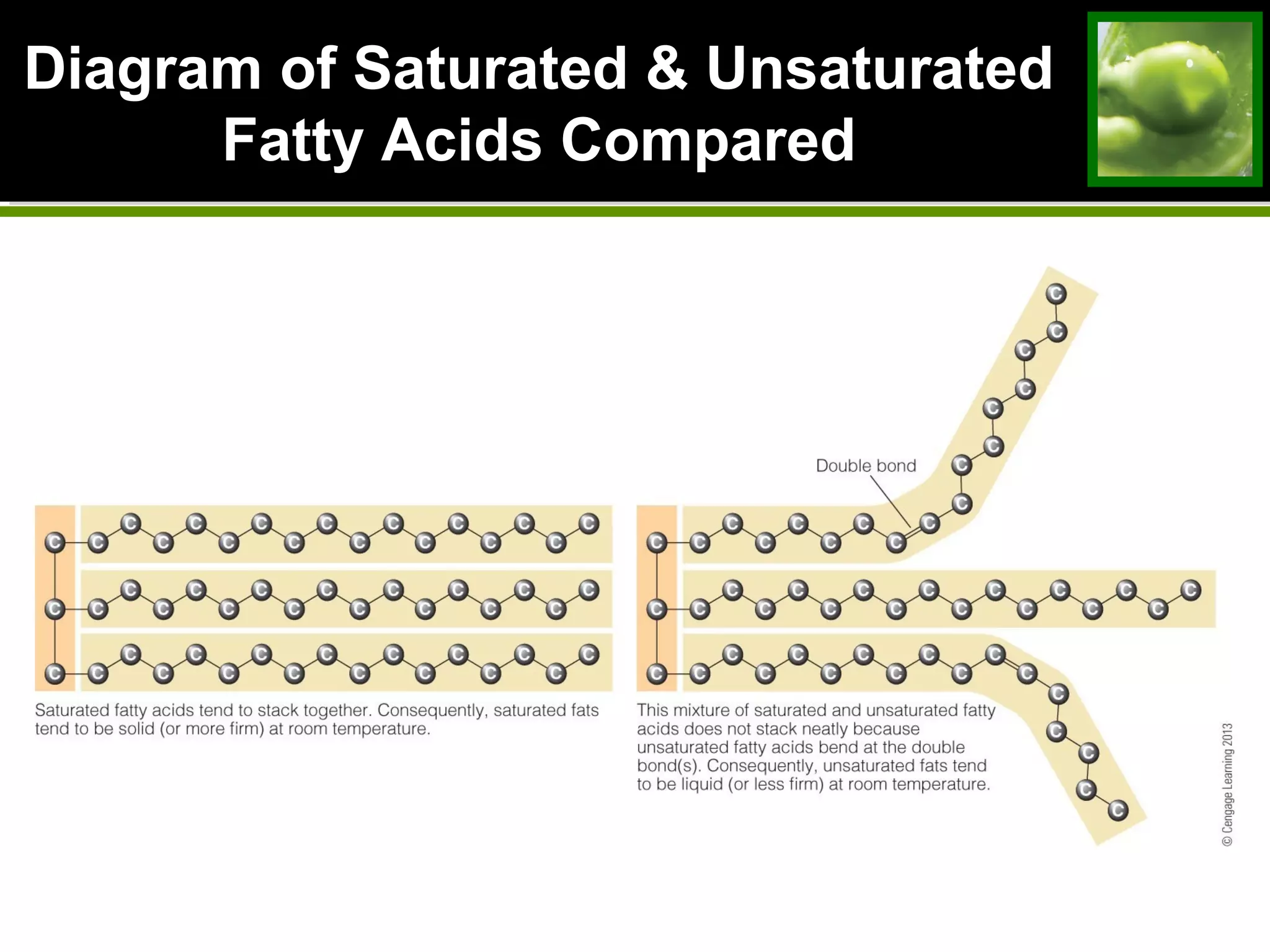 Diagram of Saturated & Unsaturated
Fatty Acids Compared
 