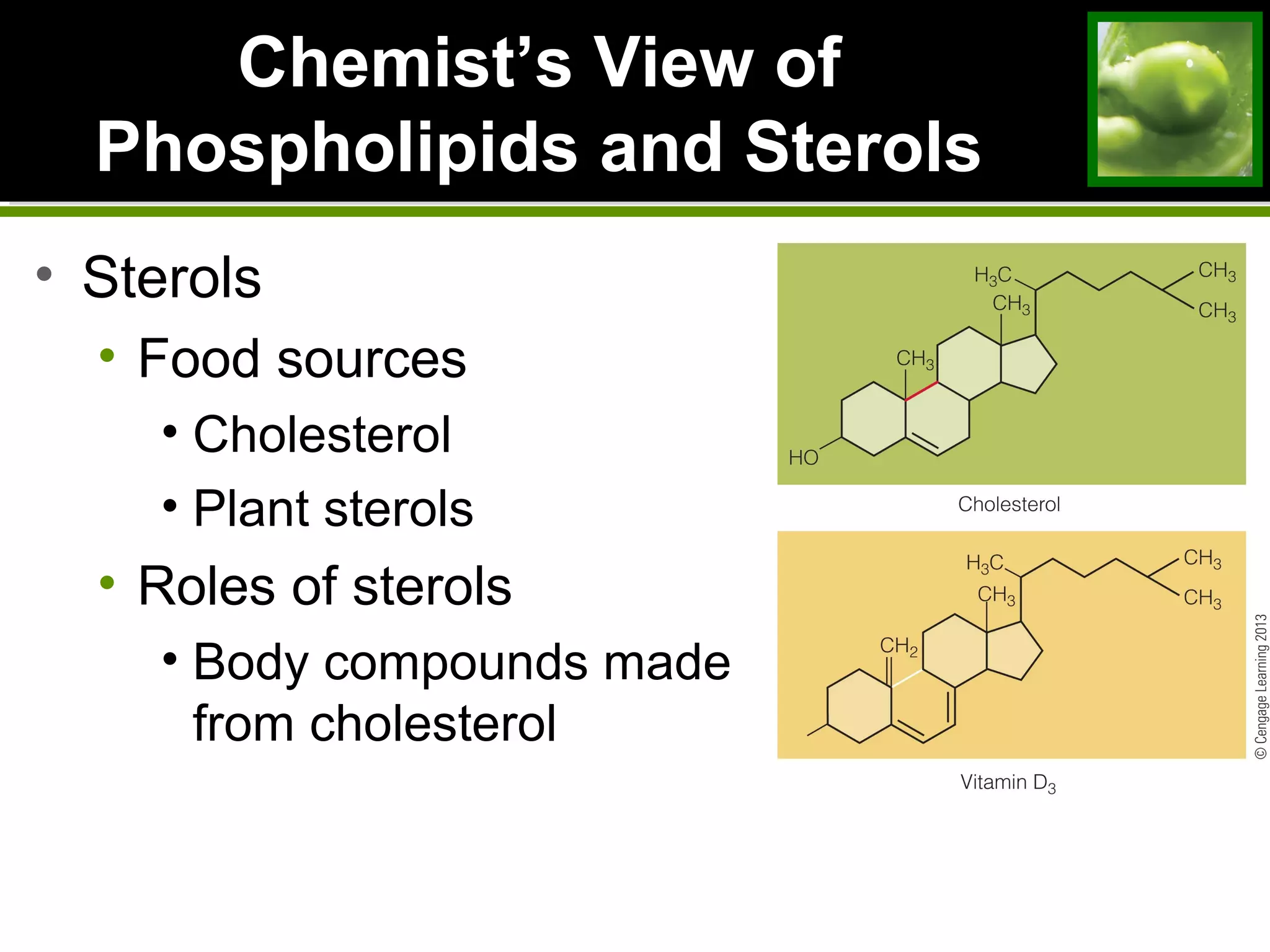 ChemistChemist’s View of’s View of
Phospholipids and SterolsPhospholipids and Sterols
• Sterols
• Food sources
• Cholesterol
• Plant sterols
• Roles of sterols
• Body compounds made
from cholesterol
 