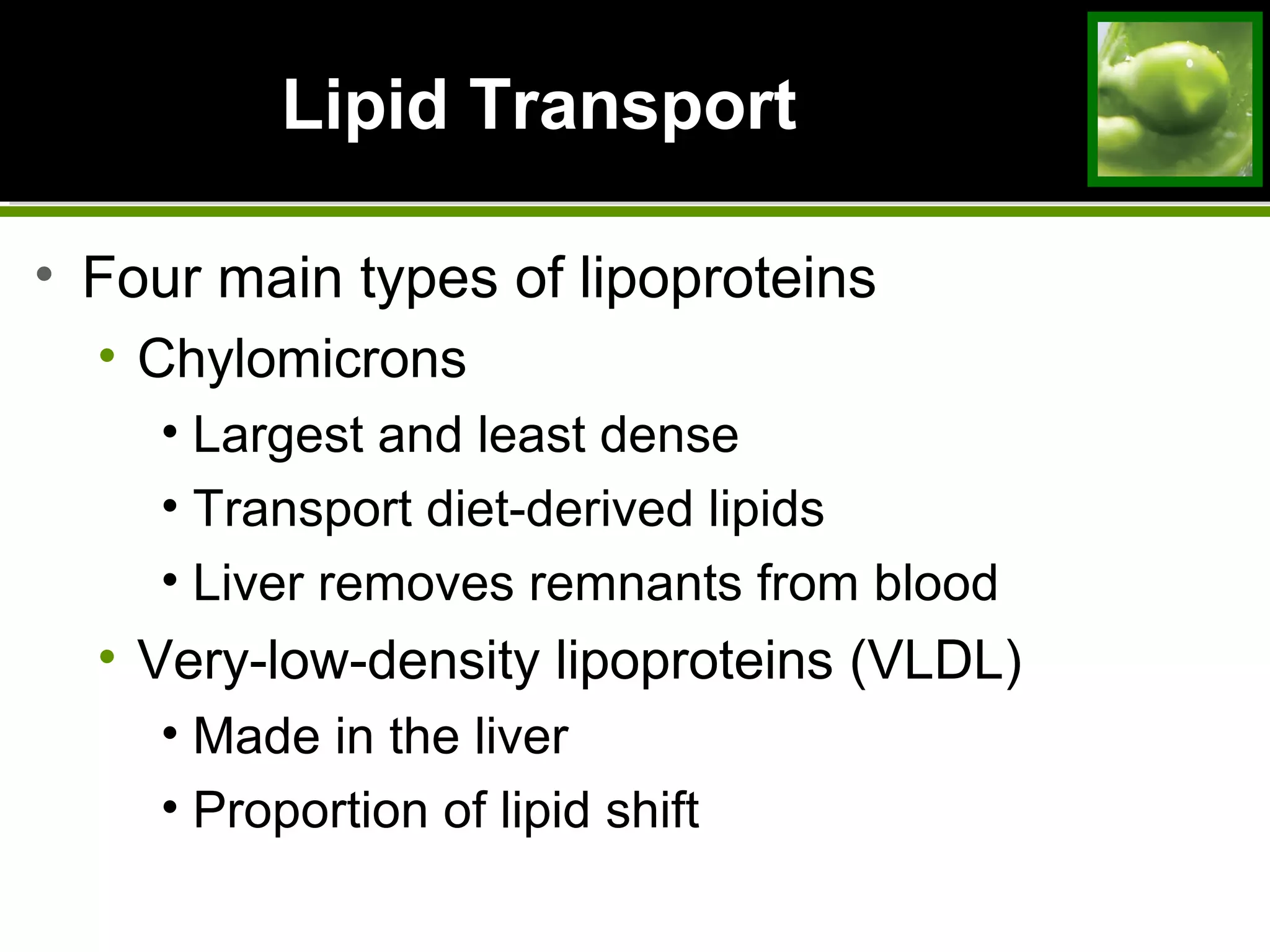 Lipid TransportLipid Transport
• Four main types of lipoproteins
• Chylomicrons
• Largest and least dense
• Transport diet-derived lipids
• Liver removes remnants from blood
• Very-low-density lipoproteins (VLDL)
• Made in the liver
• Proportion of lipid shift
 
