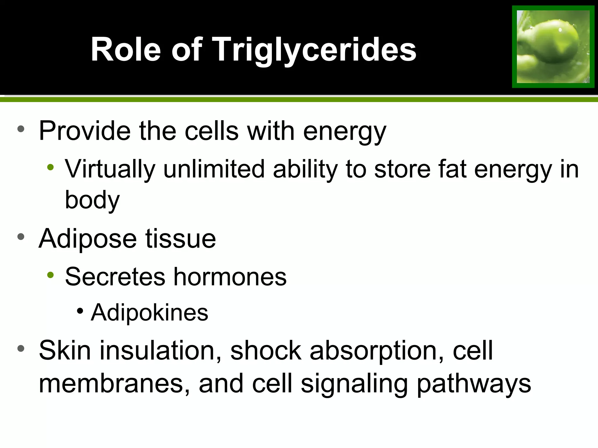 Role of TriglyceridesRole of Triglycerides
• Provide the cells with energy
• Virtually unlimited ability to store fat energy in
body
• Adipose tissue
• Secretes hormones
• Adipokines
• Skin insulation, shock absorption, cell
membranes, and cell signaling pathways
 