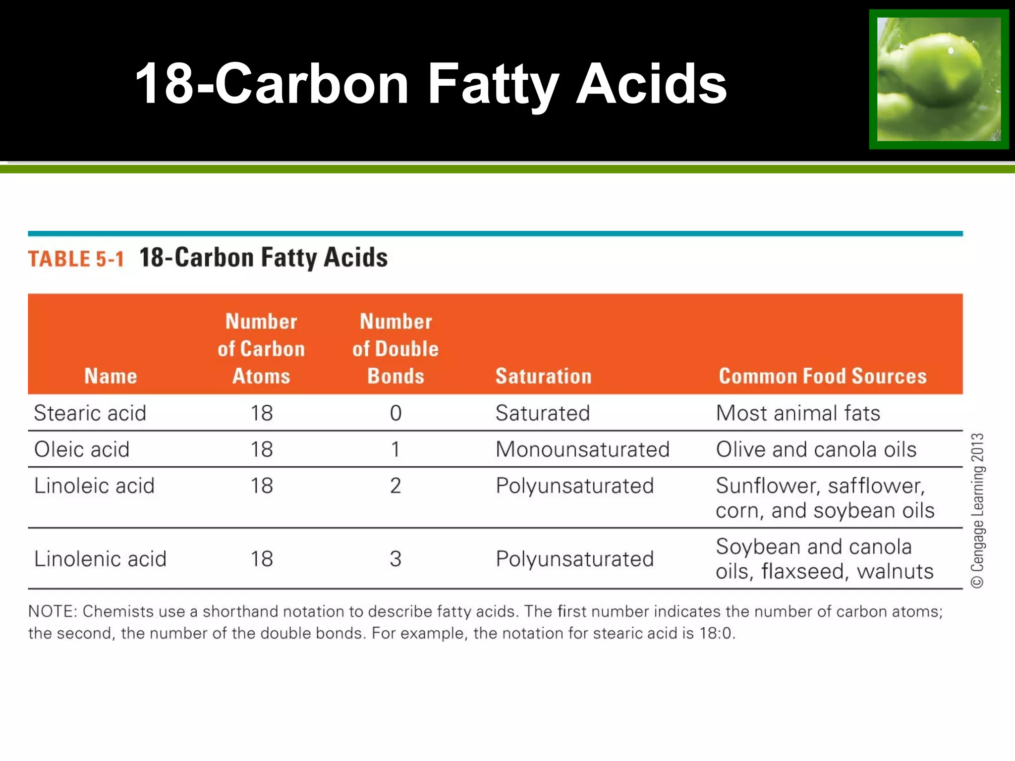 18-Carbon Fatty Acids
 