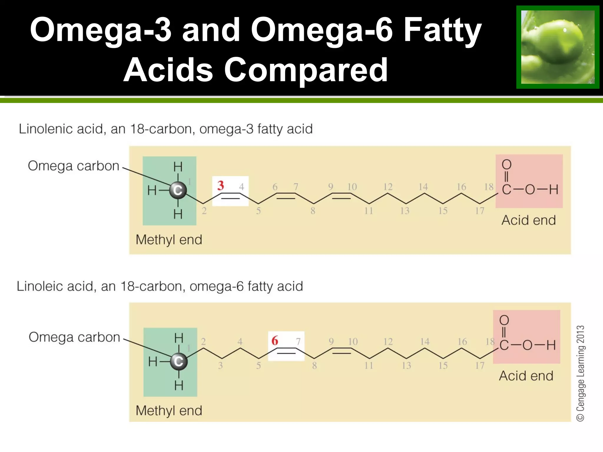 Omega-3 and Omega-6 Fatty
Acids Compared
 