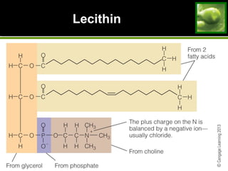 Lecithin
 