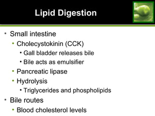 Lipid DigestionLipid Digestion
• Small intestine
• Cholecystokinin (CCK)
• Gall bladder releases bile
• Bile acts as emulsifier
• Pancreatic lipase
• Hydrolysis
• Triglycerides and phospholipids
• Bile routes
• Blood cholesterol levels
 
