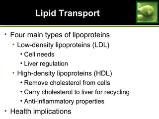Lipid TransportLipid Transport
• Four main types of lipoproteins
• Low-density lipoproteins (LDL)
• Cell needs
• Liver regulation
• High-density lipoproteins (HDL)
• Remove cholesterol from cells
• Carry cholesterol to liver for recycling
• Anti-inflammatory properties
• Health implications
 