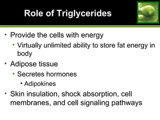 Role of TriglyceridesRole of Triglycerides
• Provide the cells with energy
• Virtually unlimited ability to store fat energy in
body
• Adipose tissue
• Secretes hormones
• Adipokines
• Skin insulation, shock absorption, cell
membranes, and cell signaling pathways
 