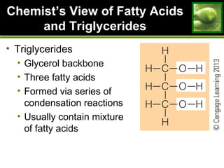 ChemistChemist’s View of Fatty Acids’s View of Fatty Acids
and Triglyceridesand Triglycerides
• Triglycerides
• Glycerol backbone
• Three fatty acids
• Formed via series of
condensation reactions
• Usually contain mixture
of fatty acids
 