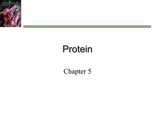Protein
Chapter 5

 